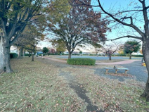 川越市岸町健康ふれあい広場