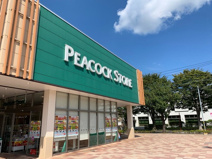 ピーコックストア 豊四季台店