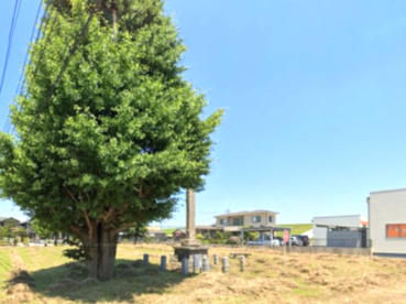 東ケ丘くさぶえ公園の画像1