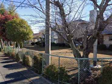 公園の画像1