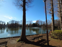 別所沼公園