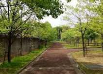 緑地公園