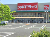 スギドラッグ エムズタウン幸手店