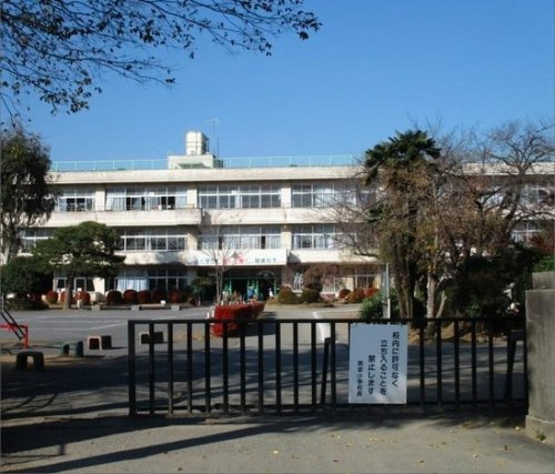 の画像
