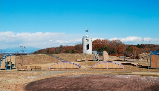 の画像