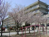 松戸市立 大橋小学校