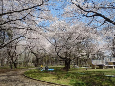 城北中央公園の画像2