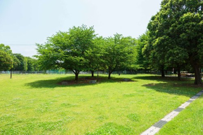 城北中央公園の画像3