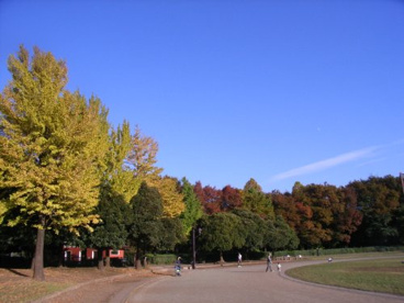 城北中央公園の画像4