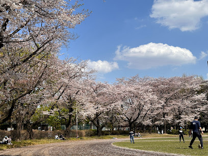 中央公園の画像