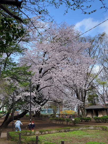上水公園の画像