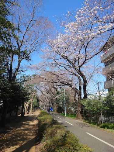 の画像