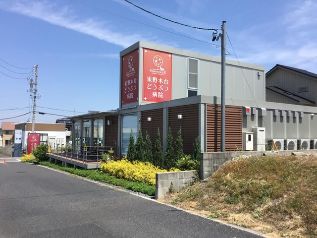 の画像