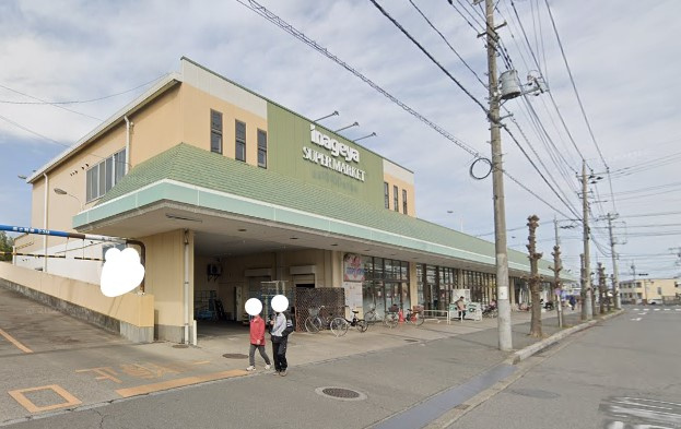 の画像