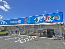 ドラッグストア どらっぐぱぱす世田谷中町店