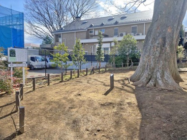 瀬田二丁目けやき公園の画像1