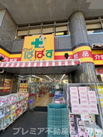 どらっぐぱぱす 西馬込店の画像1