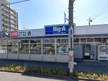 ビッグ・エー三郷駅前店の画像1