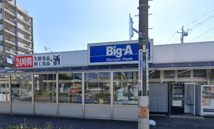 ビッグ・エー三郷駅前店の画像1