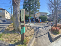 経堂けやき公園