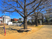 北野さくら公園