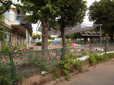 神明保育園の画像3