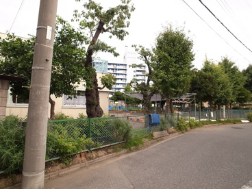 神明保育園の画像4
