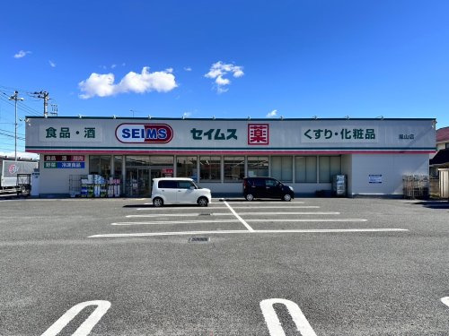 ドラッグセイムス嵐山店の画像