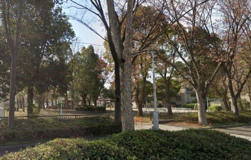 の画像