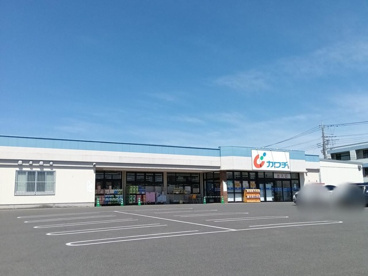 カワチ薬品 元総社店の画像1