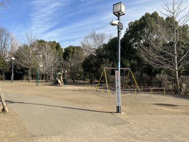 駒場野公園の画像3