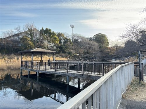 岸根公園