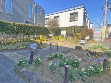 若林あじさい公園の画像1