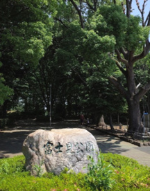 富士見公園の画像1