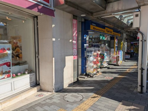 の画像