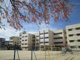 中部小学校の画像