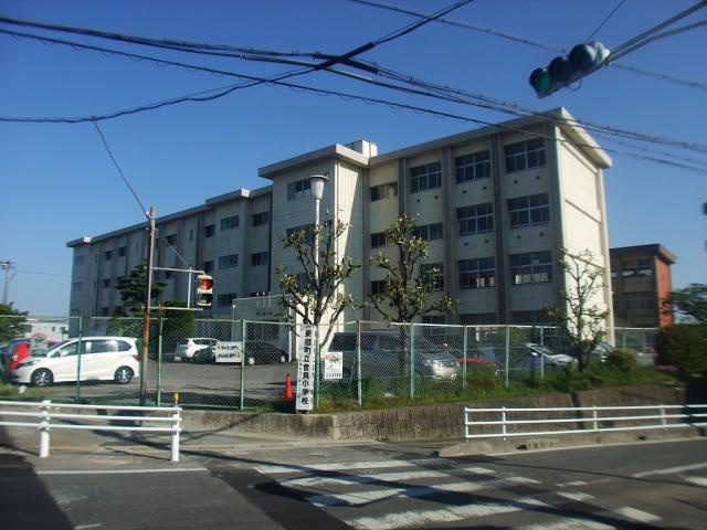 の画像