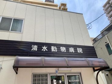 清水動物病院の画像1