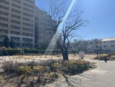 公園 希望丘公園