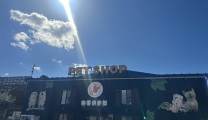 熱帯倶楽部 東川口本店の画像1