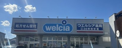 ウエルシア薬局東川口店の画像1