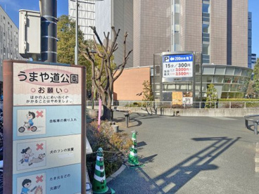 うまや道公園の画像1