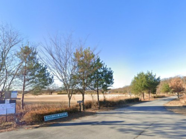 荒川大麻生公園の画像1