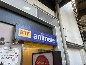 アニメイト松戸の画像1