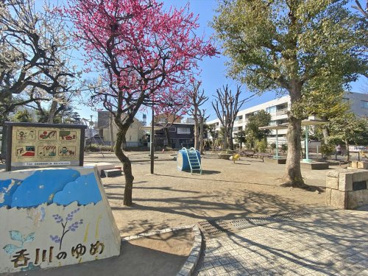 石川公園の画像1
