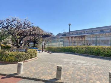 東原くすのき公園の画像1