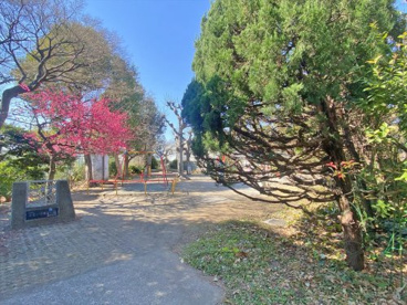 美富士橋児童公園の画像1