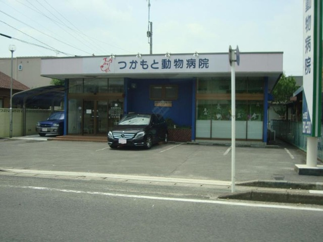 の画像