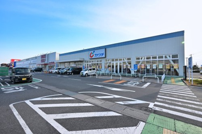 カワチ薬品菖蒲店の画像1