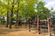 西永福公園の画像